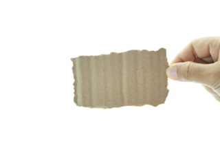 Female hand holding Shredded paper isolated on white background.