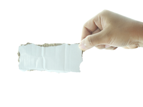 Female hand holding Shredded paper isolated on white background.