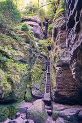 Wanderpfad Wilde Hölle in der Sächsischen Schweiz, Deutschland