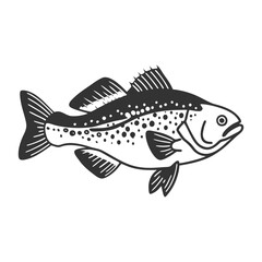 Fish Vector illustration