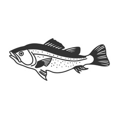 Fish Vector illustration