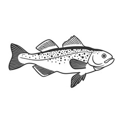 Fish Vector illustration