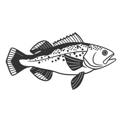 Fish Vector illustration