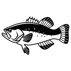 Fish Vector illustration
