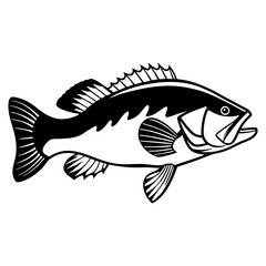 Fish Vector illustration