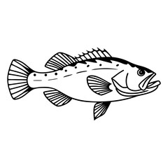 Fish Vector illustration