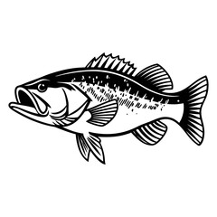 Fish Vector illustration