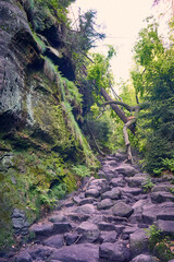 Wanderpfad Wilde Hölle in der Sächsischen Schweiz, Deutschland