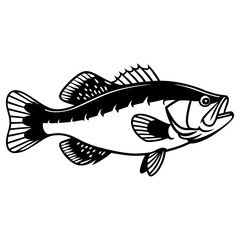 Fish Vector illustration