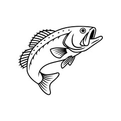Fish Vector illustration