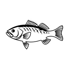 Fish Vector illustration