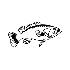 Fish Vector illustration