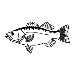 Fish Vector illustration
