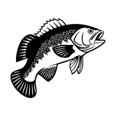Fish Vector illustration