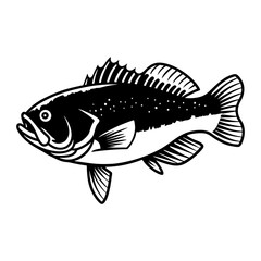 Fish Vector illustration