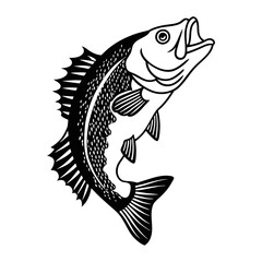 Fish Vector illustration
