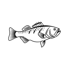 Fish Vector illustration