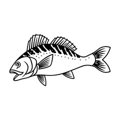 Fish Vector illustration