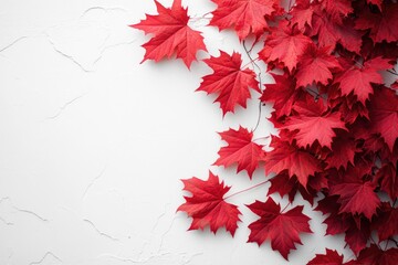 Red maple leaves falling on white background creating autumnal atmosphere