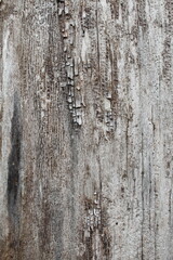 up of hot coffee with christmas decor on wooden table, coffee in a red cup on a gray wooden table and Christmas decor