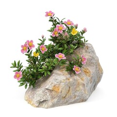 Rockrose 3D &ndash; Realistic 3D Render of a Beautiful Rockrose Flower, Detailed Texture and Natural Aesthetic, Perfect for Floral Design