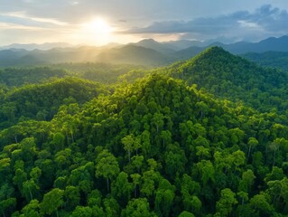 Fototapeta premium Lush green hills under a vibrant sunset sky.