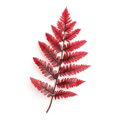 Ruby Fern Brush &ndash; Elegant and Detailed Digital Brush for Art and Design, Lush Fern Texture in Rich Ruby Red Color