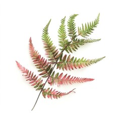 Ruby Fern Brush &ndash; Elegant and Detailed Digital Brush for Art and Design, Lush Fern Texture in Rich Ruby Red Color