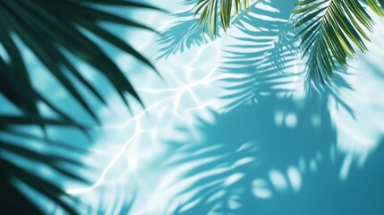 A serene pool scene with palm shadows and shimmering water reflections.