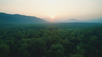 Fototapeta premium A serene sunrise over a lush forest landscape, showcasing nature's beauty and tranquility.