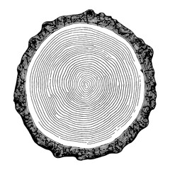 Fototapeta premium Cross Section Tree Wood Rings Black and White Outline Line Art Drawing Isolated View