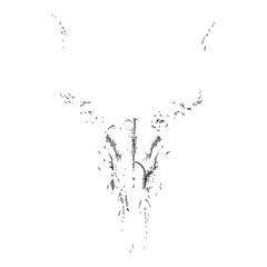 Fototapeta premium Goat Skull with Horns and Crow Detailed Black and White Outline Line Art Drawing