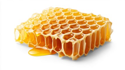 Honeycomb with Dripping Honey on Transparent Background