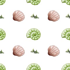 Seamless watercolor shell and spiral pattern for fabric and packaging design