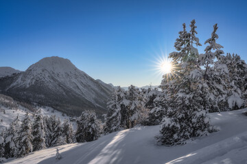 Fototapeta premium A stunning winter landscape features tall, snowcovered trees glistening under majestic mountains, beneath clear blue sky, capturing the serene beauty of nature in its glory, Montgenevre, Alps, France