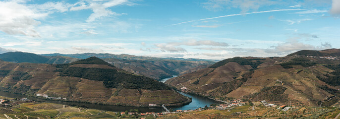 panorama of the vineyards