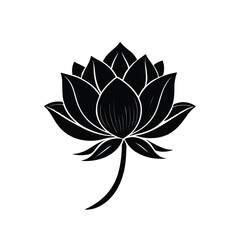  Meadow plants, leaves, leaf and flowers. All over print. Botanical collage in modern flat style. Floral silhouettes. black and white print. Floral drawings collection.