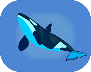 Obraz premium Killer whale icon. Vector illustration of a cartoon killer whale.