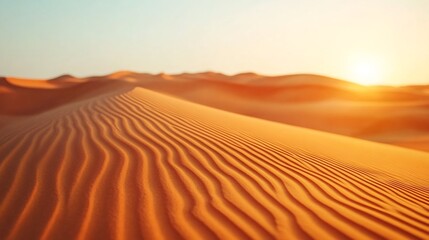 Mesmerizing Desert Dunes with Dramatic Curves and Warm Sunlight