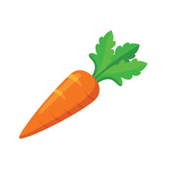 Fresh carrot with a vibrant green stem and lush green leaf isolated flat vector illustration on white background.