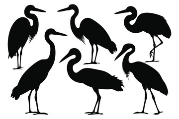 Heron bird silhouettes set isolated flat vector illustration on white background
