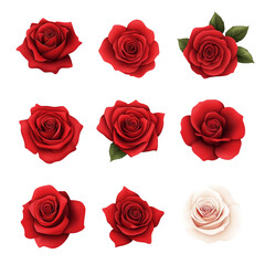 Naklejka premium set of roses,flat style