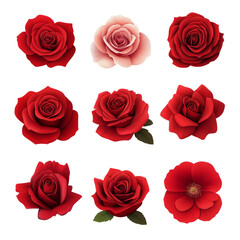 Naklejka premium set of roses,flat style