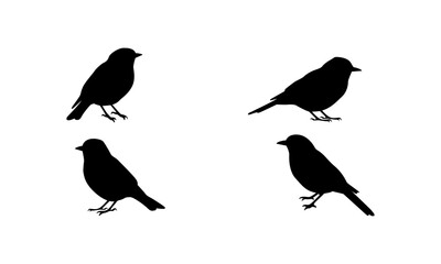 Bird silhouette set vector in black and white
