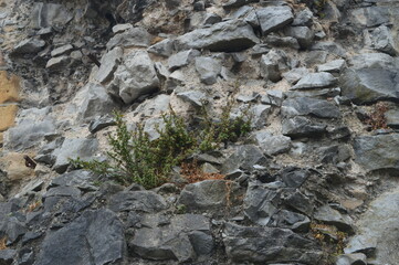 rock in the mountains