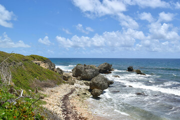 Barbados seascapes with cliffs and vegetation in Bathsheba beach.