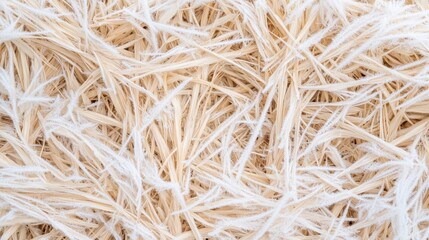 Natural Dry Straw Texture for Background, Wallpaper, or Crafting Use in Light and Neutral Colors