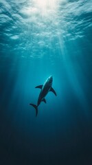 Obraz premium Great white shark swimming in the deep blue ocean, illuminated by sunbeams penetrating the surface, creating a dramatic and captivating underwater scene
