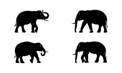 Elephant silhouette set in black white