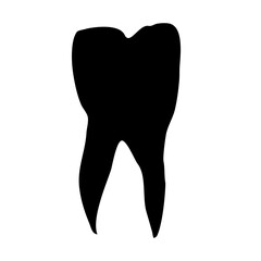 Human teeth vector